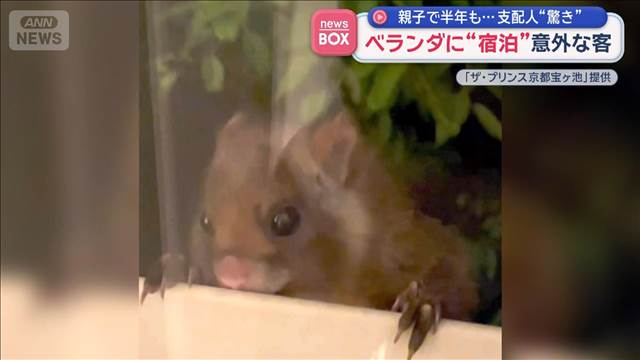 ベランダに“宿泊”意外な客　親子で半年も…支配人“驚き”