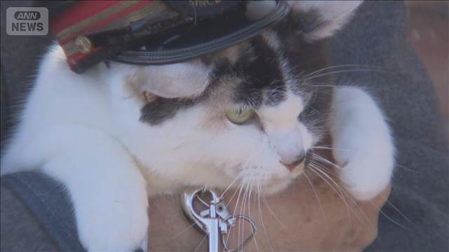 「3代目猫駅長」が就任 和歌山電鉄