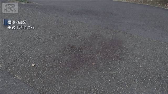 横浜・鶴見川河川敷で強盗　50代男性が眼底骨折　男は逃走