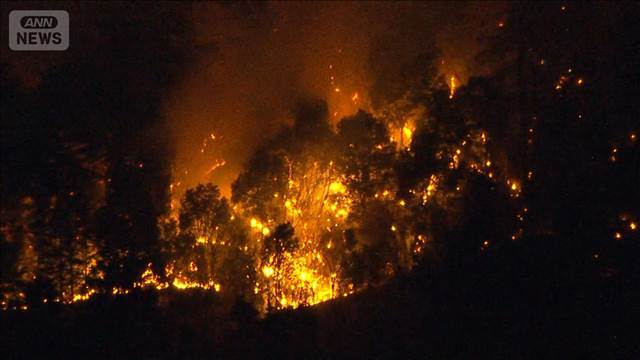 山梨・上野原市で山火事　民家まで約1km