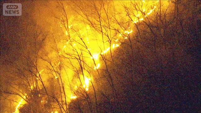 山梨県の山火事は延焼収まらず　ヘリで上空から消火予定