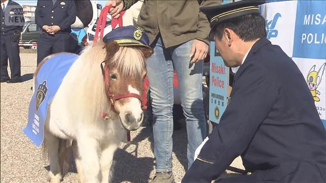 午年にちなみミニチュアホースが一日警察署長に　きょうは「110番の日」