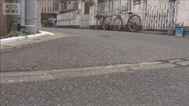 75歳男性ひき逃げされ死亡　65歳の女を逮捕　埼玉・春日部市