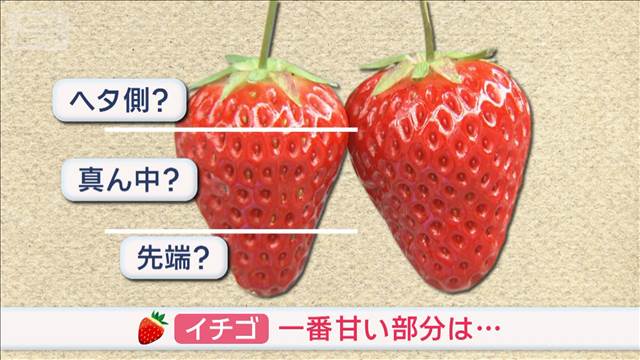 旬のイチゴ　一番甘いのドコ？　先端？ 真ん中？ ヘタ側？