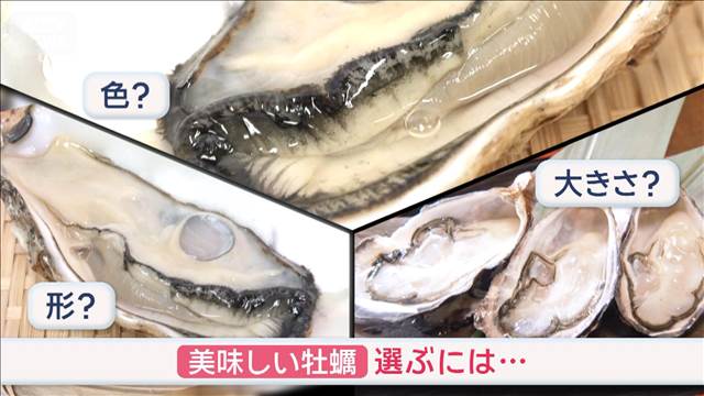 美味しいカキの見分け方　色？形？大きさ？ドコを見る？