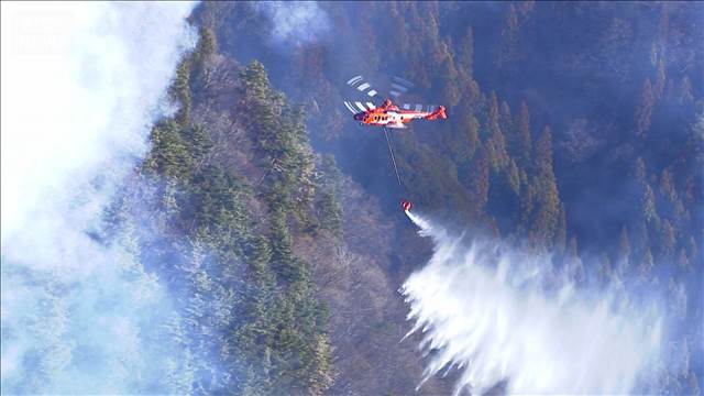 山梨の山火事　7日目も延焼続く　強風と乾燥が鎮火の妨げに