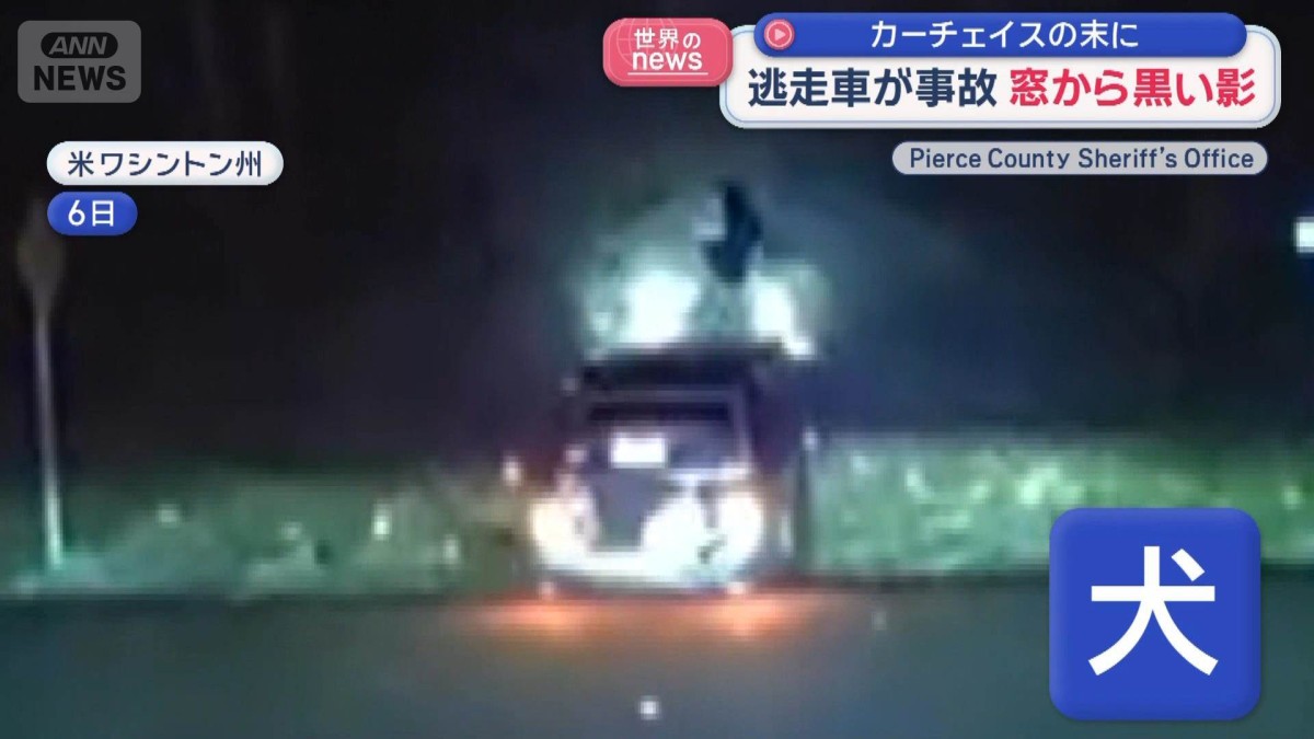 カーチェイスの末に逃走車が事故　窓から黒い影が…　アメリカ