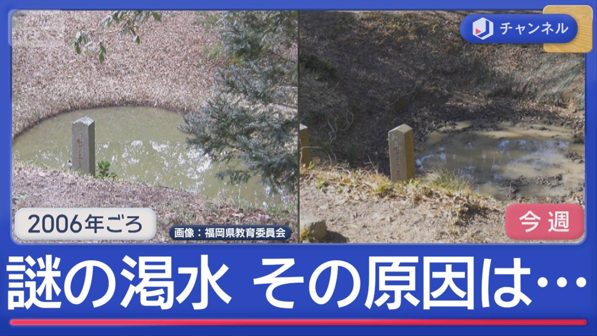 “伝説の池”枯らした犯人はイノシシ！？