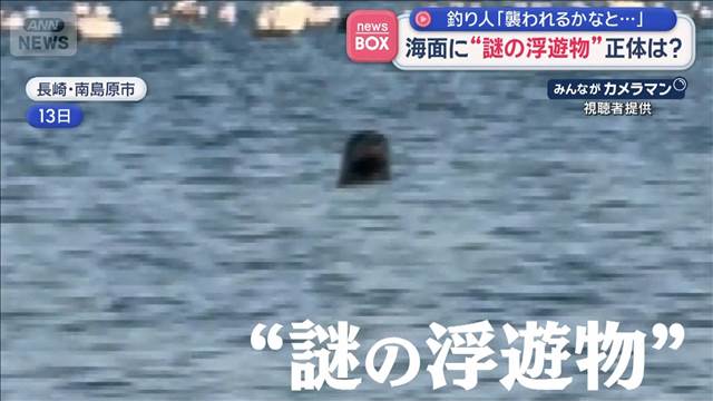 海面に“謎の浮遊物”正体は？　釣り人「襲われるかなと…」　長崎