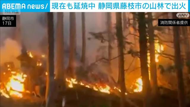 静岡・藤枝市で山林火災　現在も延焼中