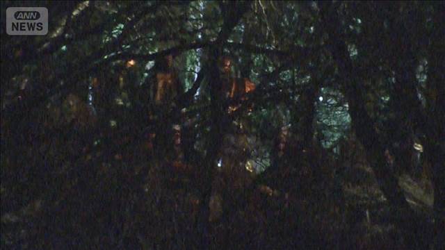 東京・青梅市のハイキングコースで下草など約2000平方メートル焼ける　警視庁