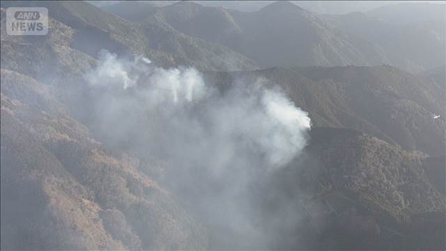 静岡 山火事発生から一夜　焼失面積は約3.5haに