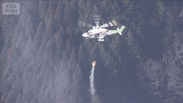 埼玉・秩父市で山火事発生　山梨は発生から11日目 消火活動続く