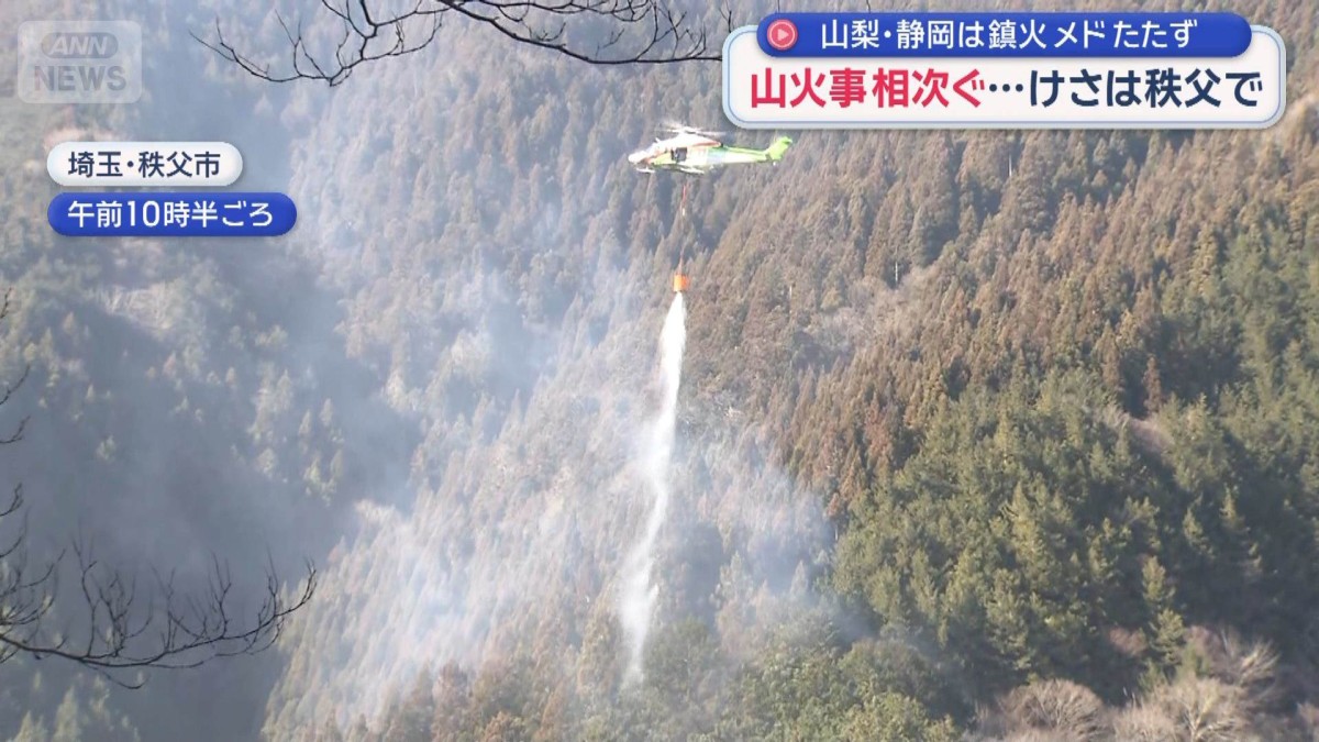 山火事相次ぐ…けさは秩父で　山梨・静岡は鎮火のメドたたず