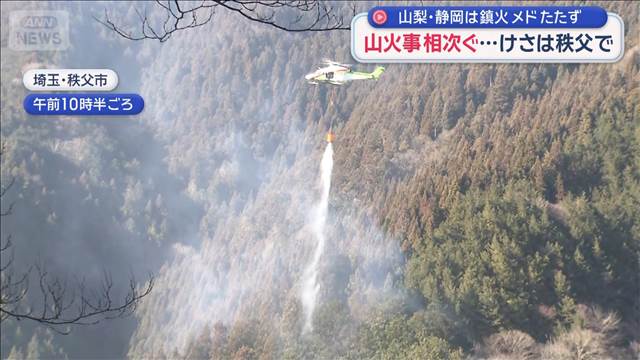 山火事相次ぐ…けさは秩父で　山梨・静岡は鎮火のメドたたず