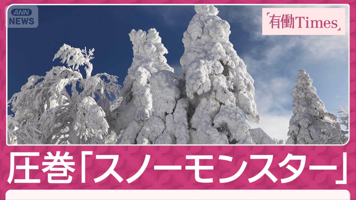 今が見頃！冬の絶景“奇跡の彫刻”山形県・蔵王の樹氷 圧巻の『スノーモンスター』
