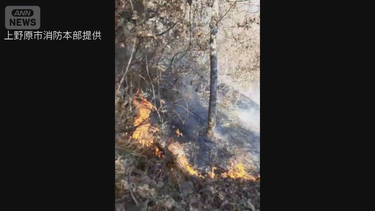 山 火事 山梨