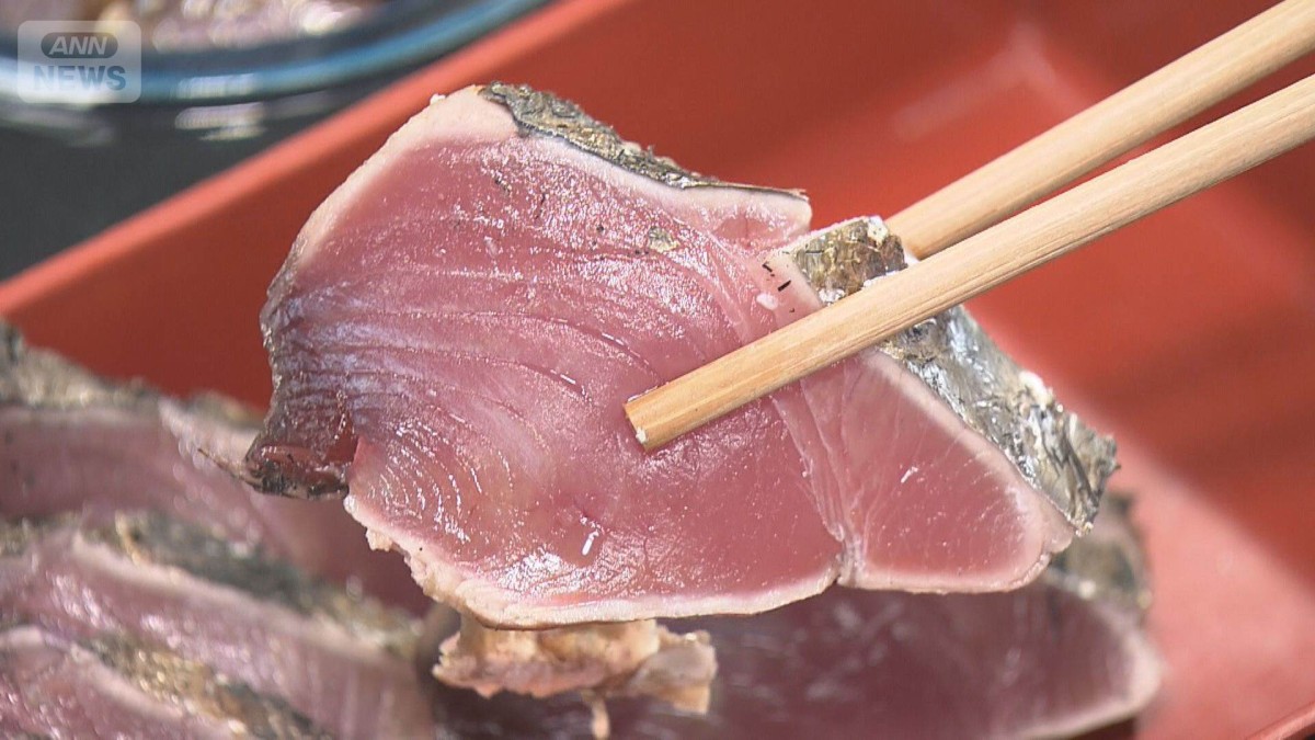 高知の名物「カツオ」水揚げ量4割減少 黒潮大蛇行の終息が影響か