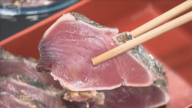 高知の名物「カツオ」水揚げ量4割減少　黒潮大蛇行の終息が影響か