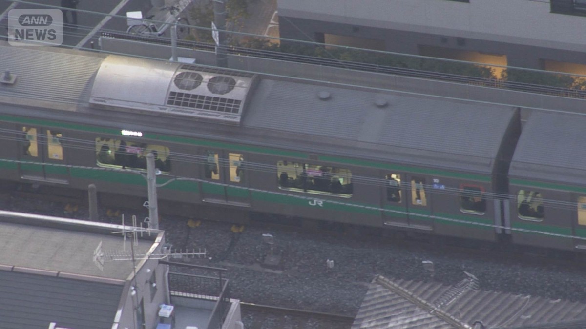 【速報】埼京線 湘南新宿ライン 京浜東北線が安全確認の影響で運転見合わせ　JR東日本