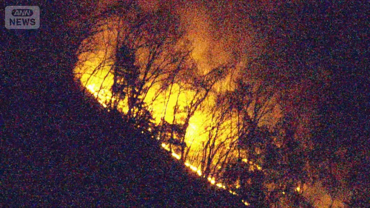 山梨の山火事 発生から17日目で鎮圧　約396ha焼ける