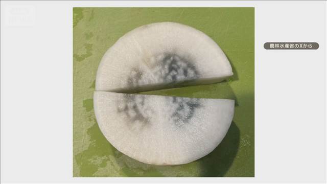 “中が青いダイコン”捨てないで　農水省が呼びかけ　食べても安心…鍋料理にも活用