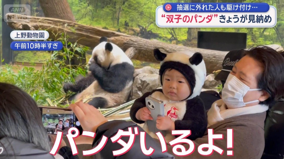 上野動物園“双子のパンダ”きょうが見納め 抽選に外れた人も駆け付け…