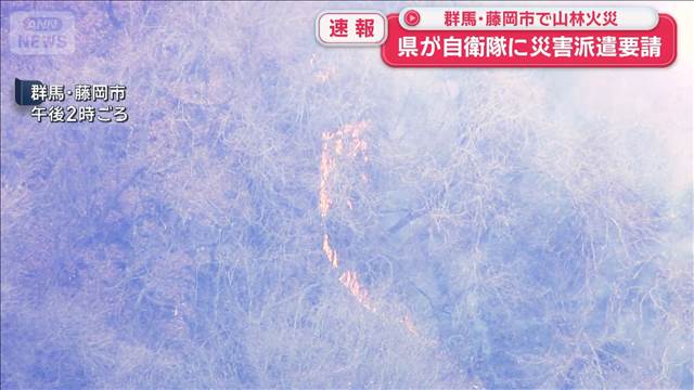 【速報】群馬・藤岡市で山林火災　県が自衛隊に災害派遣要請