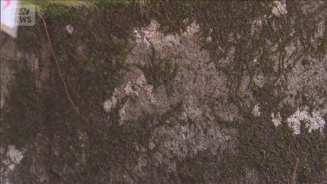 神社の石灯籠に左馬が現れる　栃木・鷲子山上神社