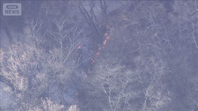 山火事発生から1日超　いまだ鎮火めど立たず　群馬・藤岡市