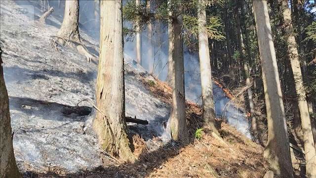 群馬・藤岡市の山火事鎮圧　これまで50ヘクタール以上焼ける
