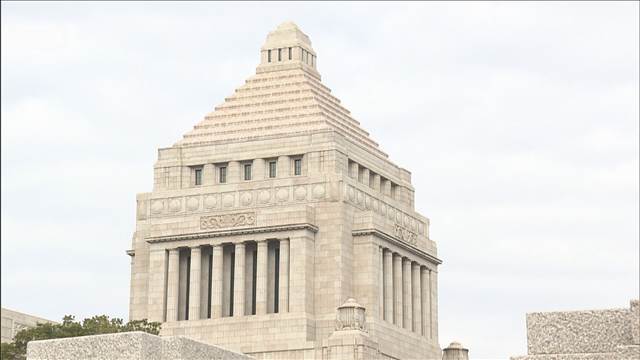 【衆院選 各党の戦略】国民・共産・れいわ・減ゆの戦略