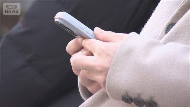 衆院選 増える巧妙な手口　投票直前の“フェイク”に注意