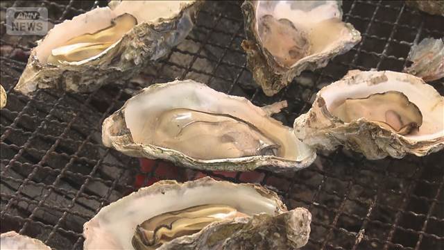 大量死に負けじとカキ祭り　生き残りは順調に成長「安心して食べて」　広島・廿日市市