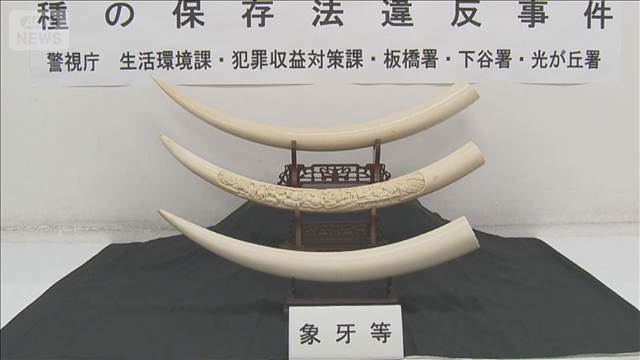 象牙を「マンモス」と表記し販売か　古物商の男ら3人逮捕