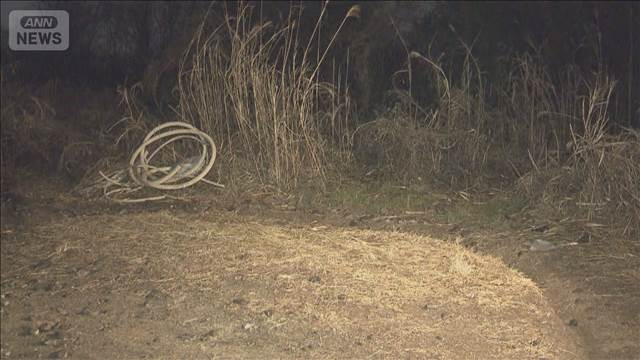 羽田強盗未遂事件　神奈川・厚木市の河川敷で“逃走車”発見