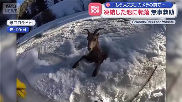 全米大寒波　凍結した池に犬や野生動物が転落　無事救助「もう大丈夫」