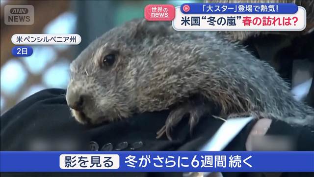 春の訪れ占う「グラウンドホッグ」 その“大スター”登場に熱気最高潮！