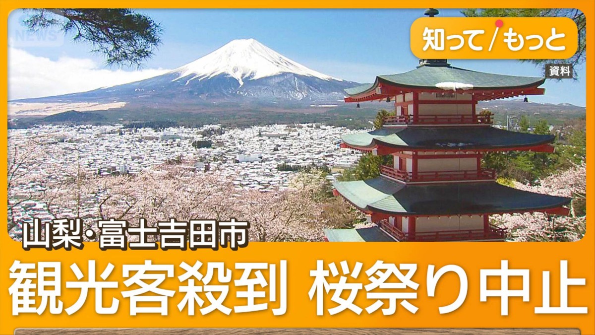 山梨・富士吉田の「桜まつり」中止　観光客の迷惑行為防止で　五重塔と富士山で人気