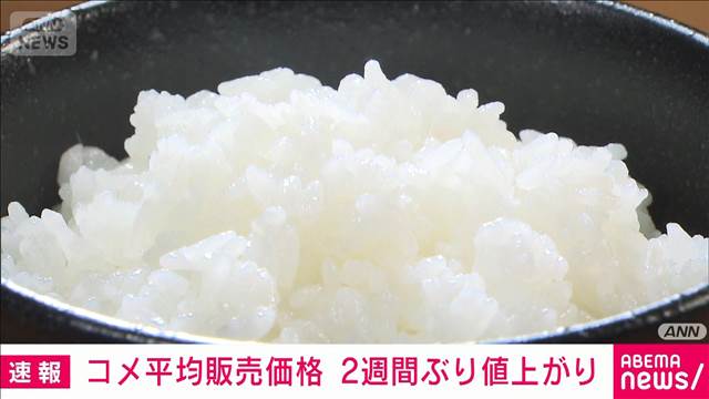 コメ販売価格2週ぶり値上がり　4000円台の高値続く