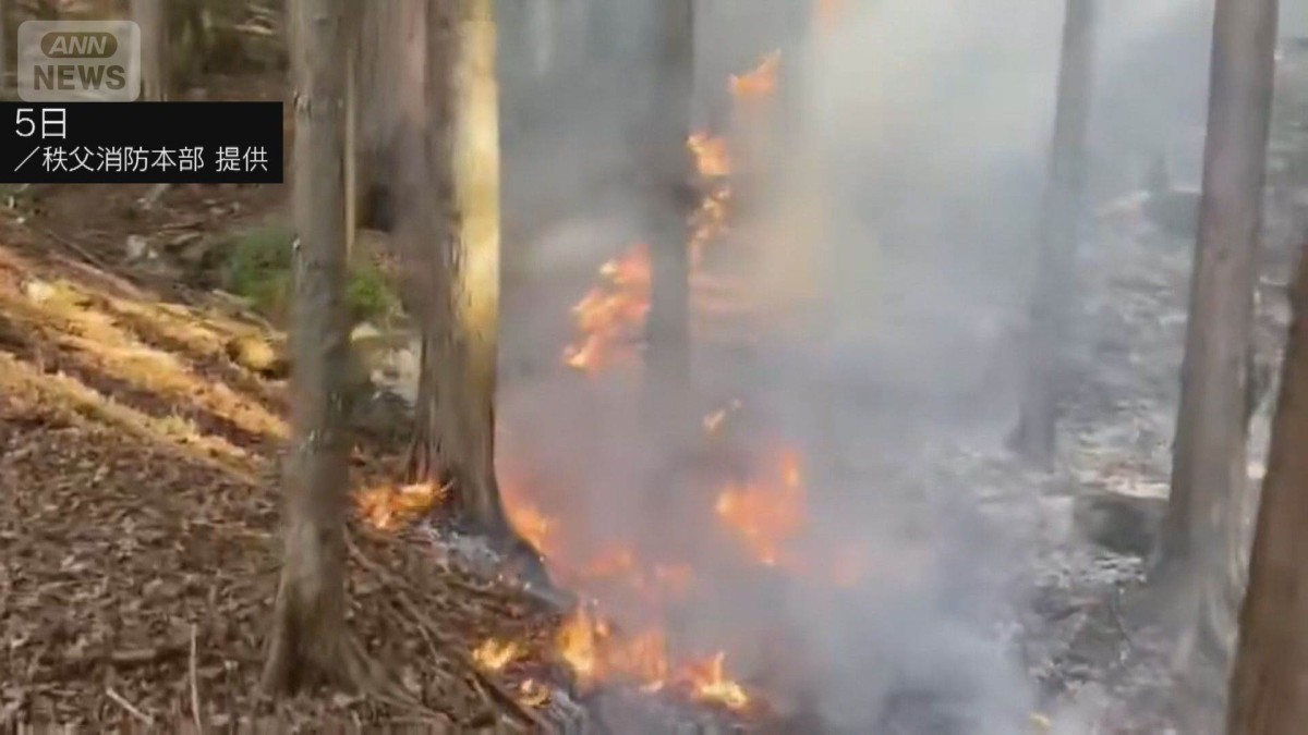 秩父の山火事4日目　延焼面積115haに拡大　雪でヘリの放水中止　鎮火めど立たず