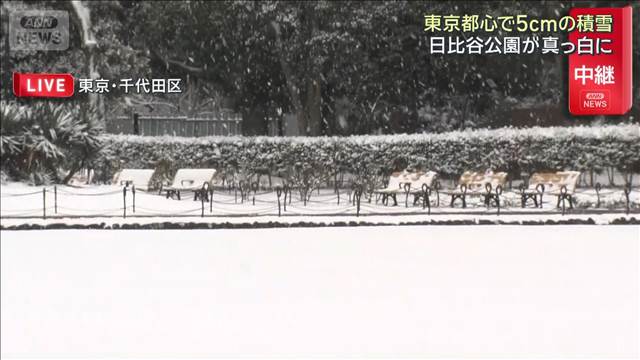 東京都心に5センチの積雪　一時は“横なぐり”日比谷公園も真っ白