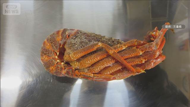 外国産ロブスター「伊勢海老」表示　景品表示法違反　再発防止求める措置命令　三重