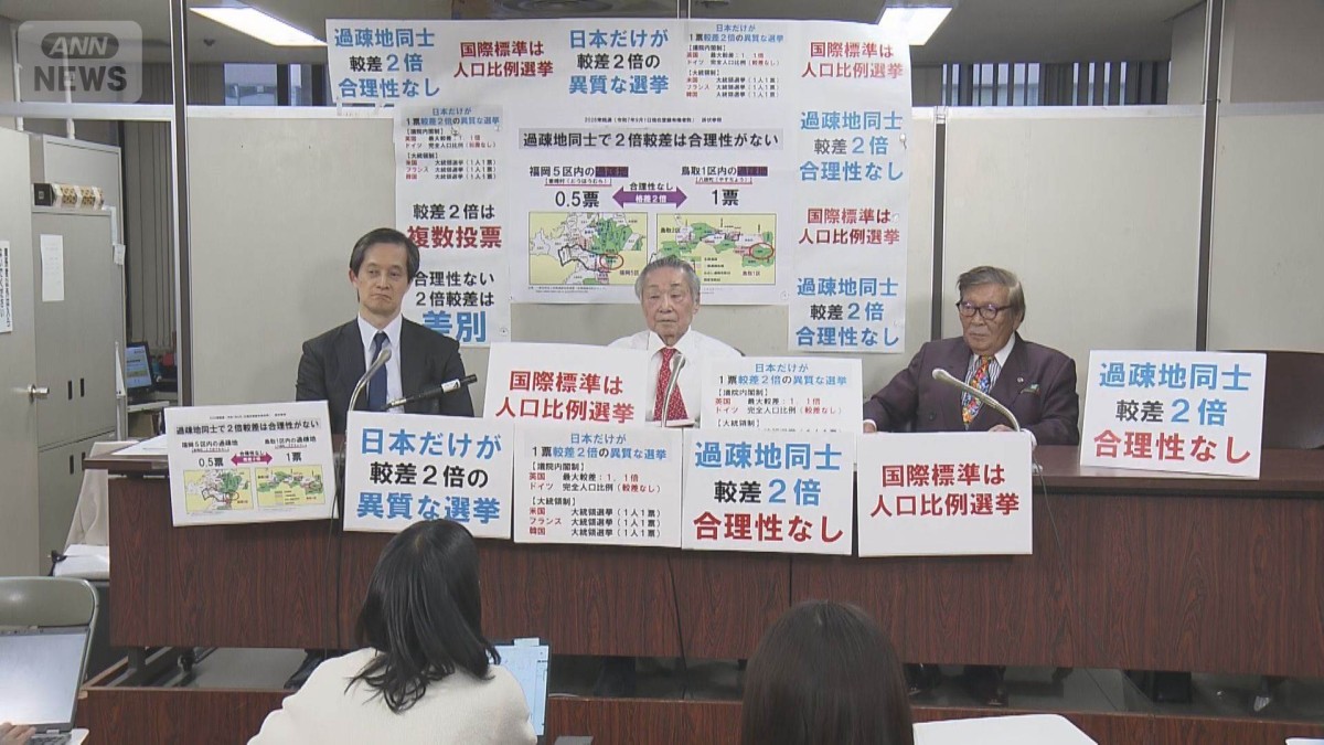 衆院選は“違憲で無効”　弁護士らが「一票の格差」訴訟を全国一斉提訴