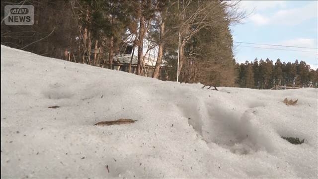 クマに襲われ70歳男性重傷　今年初の人身被害　岩手・花巻市