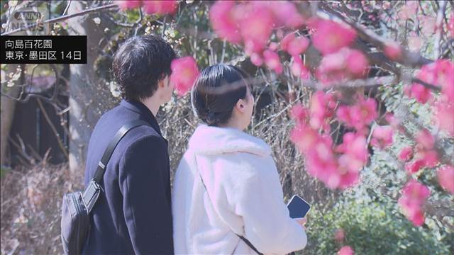 梅花彩る江戸花屋敷　向島百花園で「梅まつり」開催　東京・墨田区