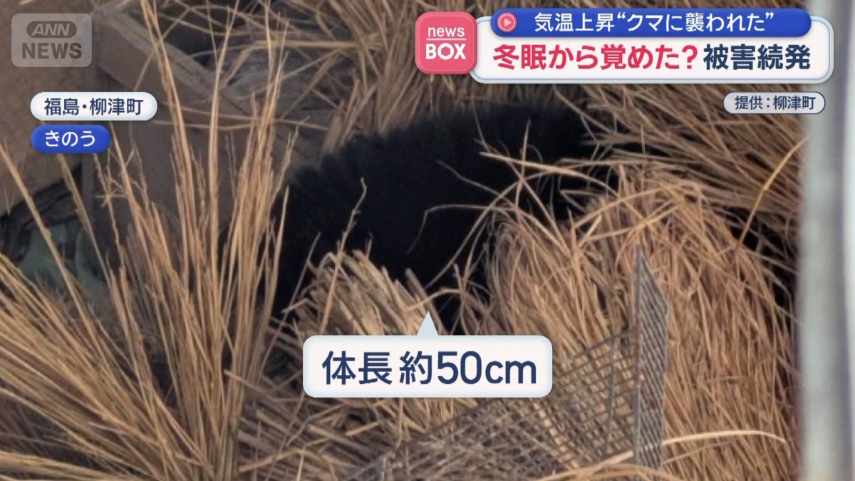 気温上昇“クマに襲われた”　冬眠から覚めた？被害続発