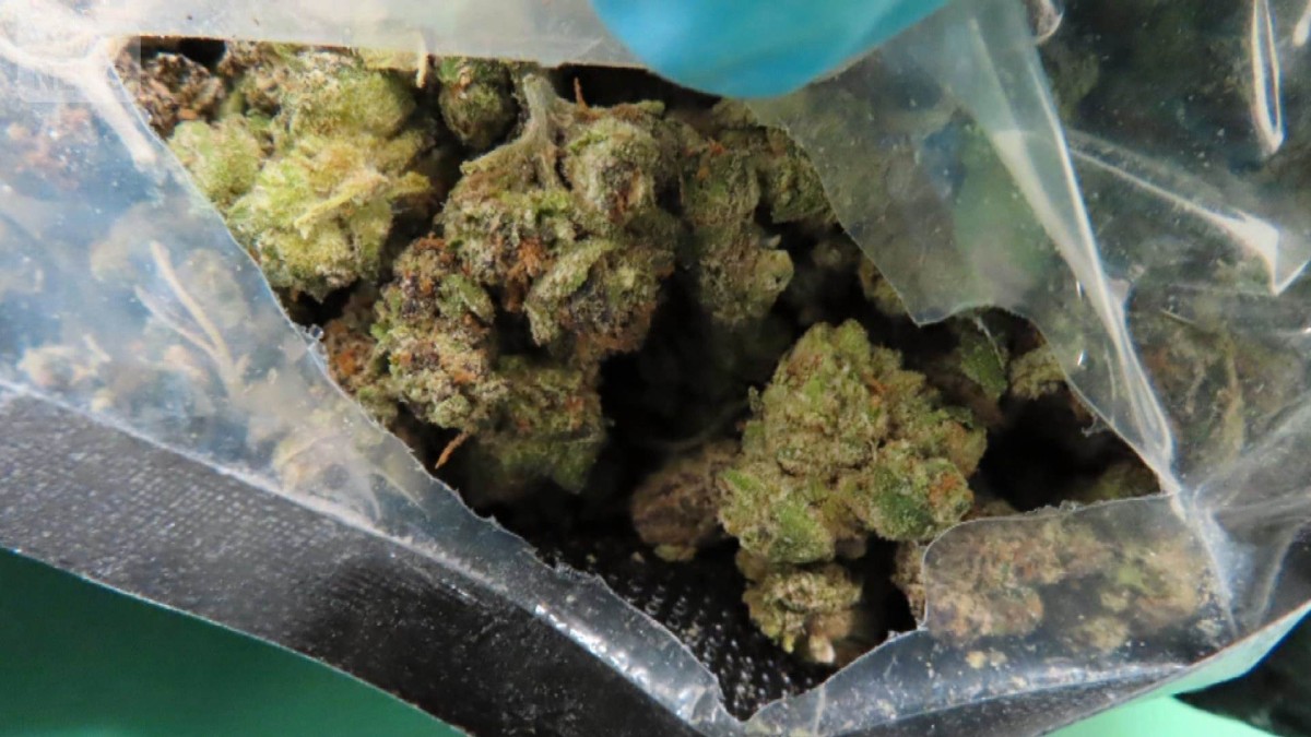 全国の税関で不正薬物　6年ぶりに3トン超え　大麻の押収量は過去最大に