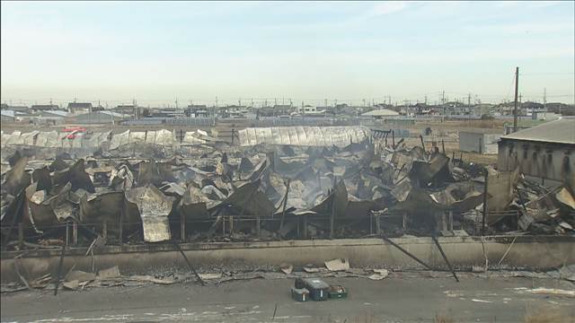 愛知の養豚場で火事 4棟が全焼　約2000頭が死ぬ