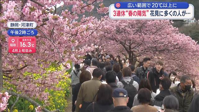 広い範囲で20℃以上に 3連休“春の陽気”花見に多くの人が